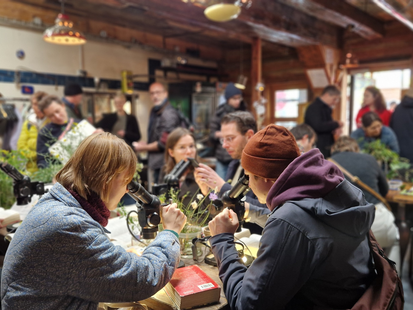 A picture of people looking at microscopes.