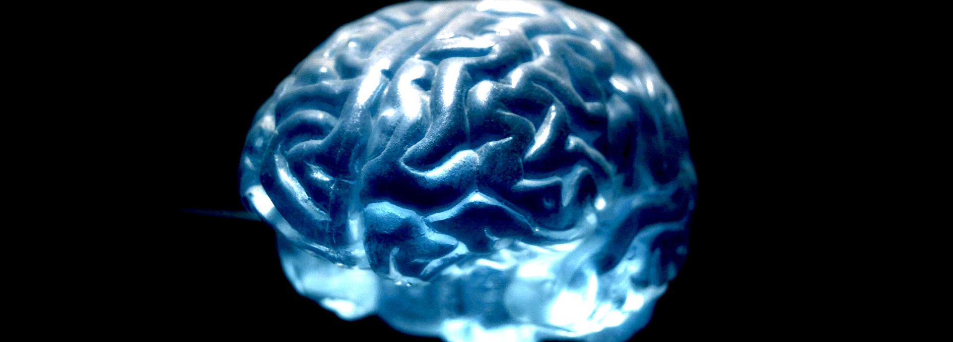 schematic image of a brain