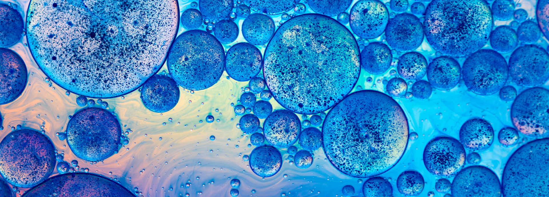 Microbes in calming blue purple gradient colours