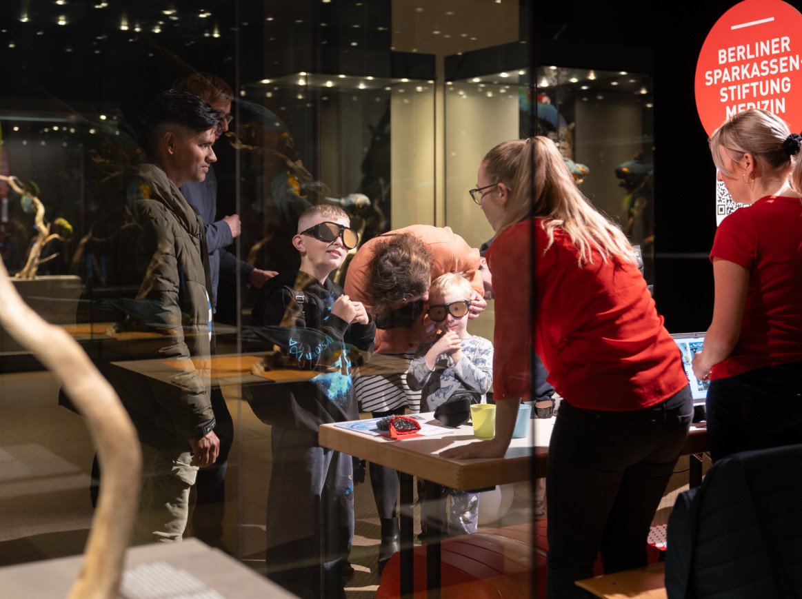children trying out goggles at an exhibition stand in the birds room of the Museum für Naturkunde Berlin