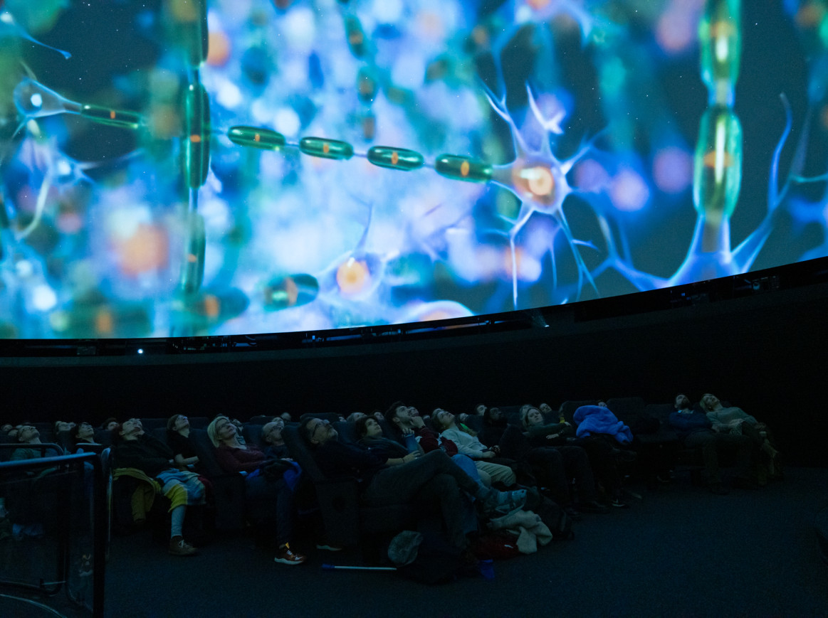 Projection of a virtual brain at the Planetarium, organised by the Einstein Foundation Berlin