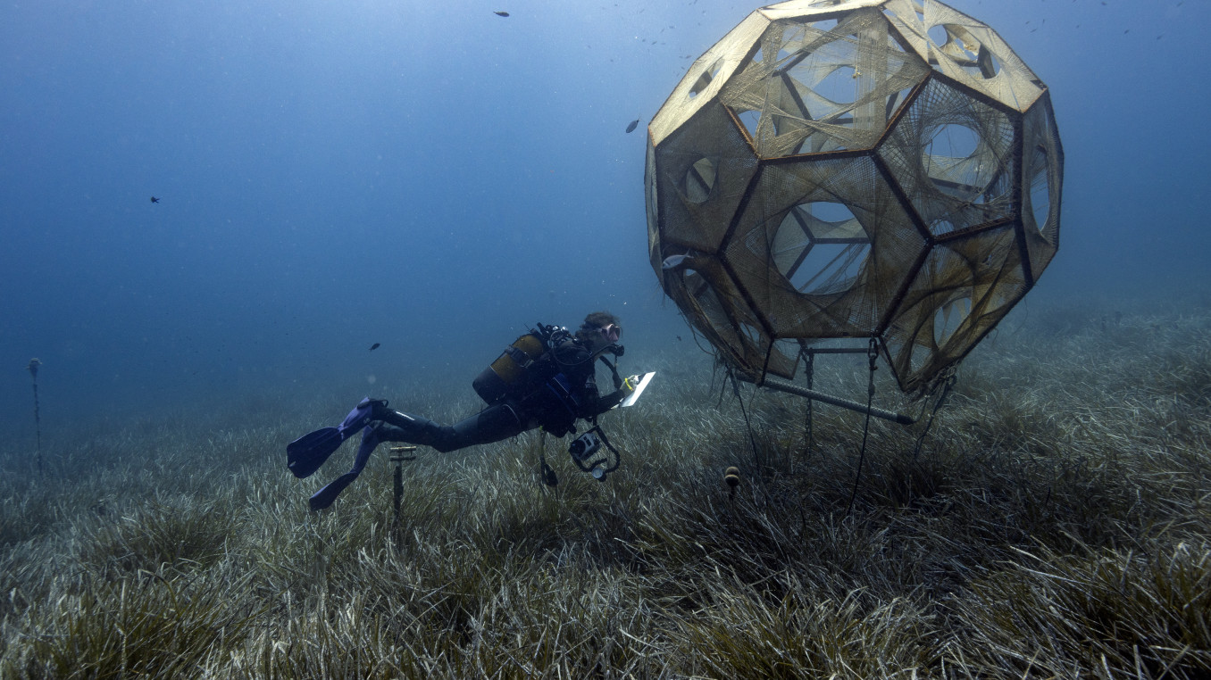 «Kiki Prototype.» Design: Rasa Weber, rasaweber.com. Photo: Stéphane Jamme @stepp_aquanaute. PhD Project: «SymbiOcean». Location: STARESO - Calvi (FR). Diver: Noémie Chabrier. Date: June 2023. @rasaweber @nonosousleau @mattersofactivity @interactiondesign_zhdk #symbiocean. SNF research project: «Interfacing the Ocean». Hosting University: Zurich University of the Arts & University of Art and Design Linz.